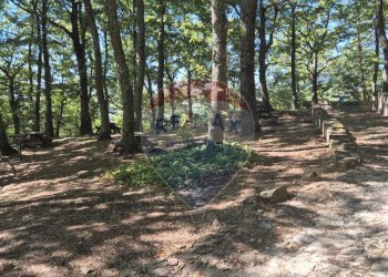 Giardino - Casa semi indipendente strada provinciale 26
 
7, Montaguto - foto 13