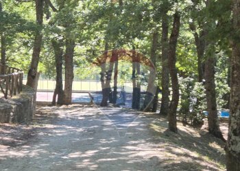 Giardino - Casa semi indipendente strada provinciale 26
 
7, Montaguto - foto 15