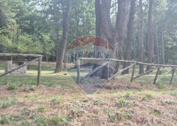 Giardino - Casa semi indipendente strada provinciale 26
 
7, Montaguto - foto 17