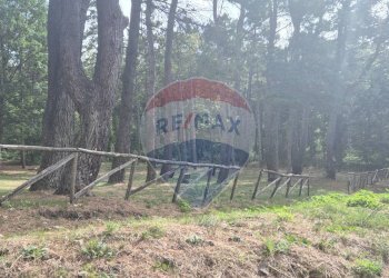 Giardino - Casa semi indipendente strada provinciale 26
 
7, Montaguto - foto 18