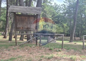 Giardino - Casa semi indipendente strada provinciale 26
 
7, Montaguto - foto 19