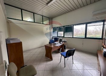 Ufficio - Capannone Rotondi - foto 19