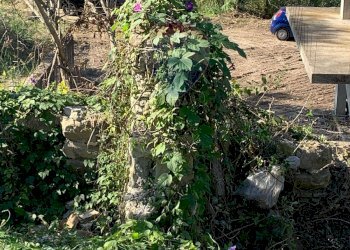 Giardino - Rustico VIA SOLACCIANO, Minturno - foto 9