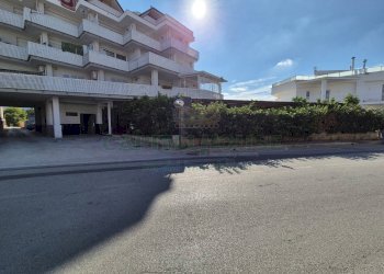 Foto 2 - Attività Commerciale Via Nola, San Gennaro Vesuviano - foto 2