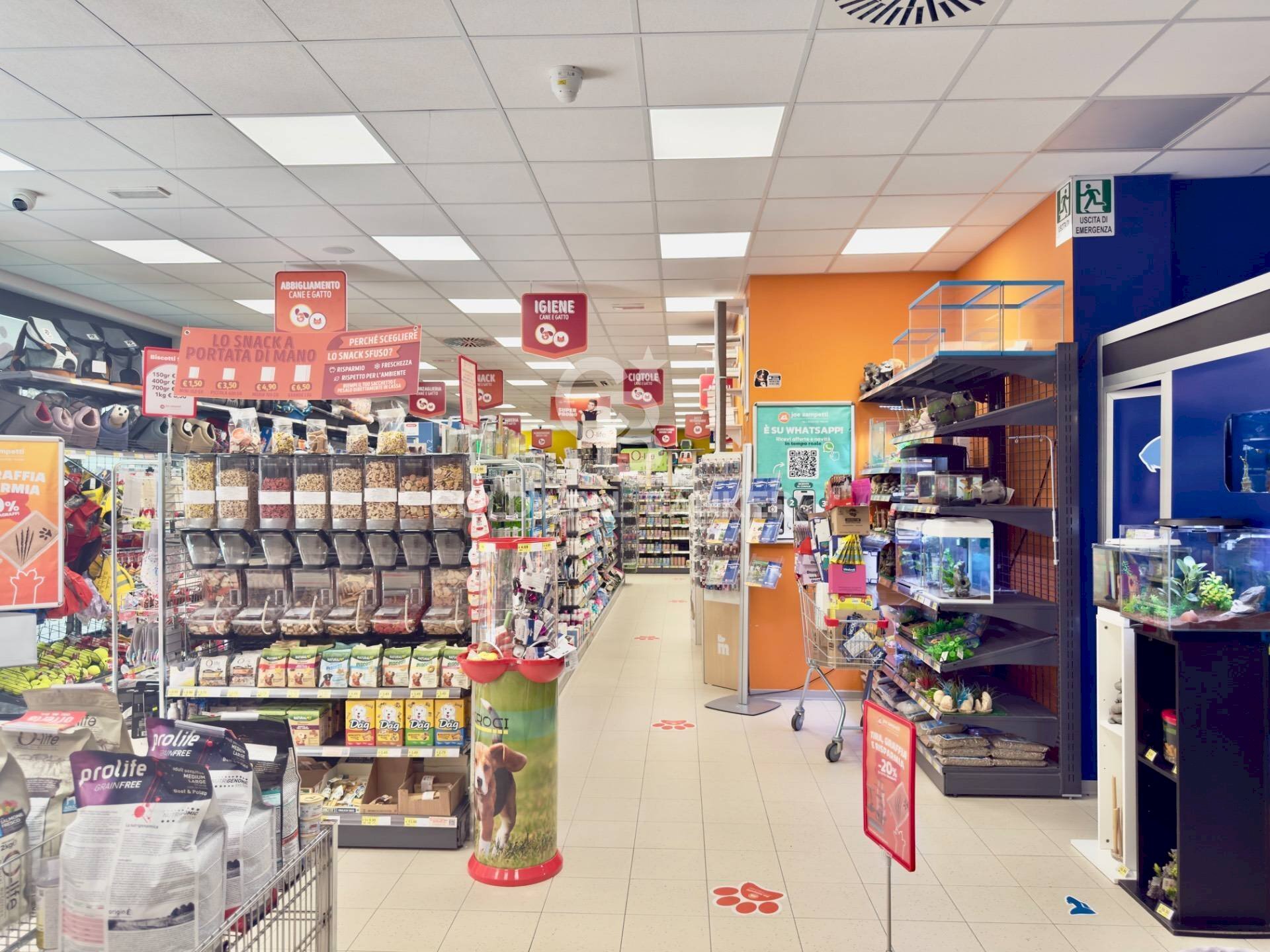 Foto 3 - Locale Commerciale VIA RUGGERO VITRANI
 
50E50D50E, Barletta - foto 3