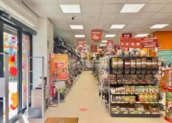 Foto 2 - Locale Commerciale VIA RUGGERO VITRANI
50E50D50E, Barletta - foto 2