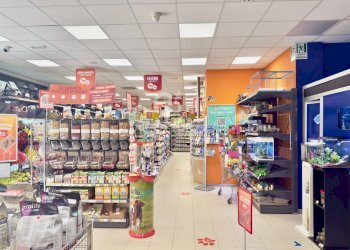 Foto 3 - Locale Commerciale VIA RUGGERO VITRANI
50E50D50E, Barletta - foto 3