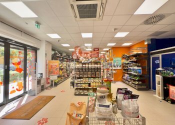 Foto 4 - Locale Commerciale VIA RUGGERO VITRANI
50E50D50E, Barletta - foto 4