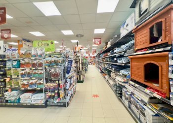 Foto 6 - Locale Commerciale VIA RUGGERO VITRANI
50E50D50E, Barletta - foto 6