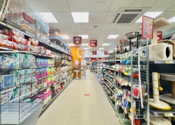 Foto 8 - Locale Commerciale VIA RUGGERO VITRANI
50E50D50E, Barletta - foto 8