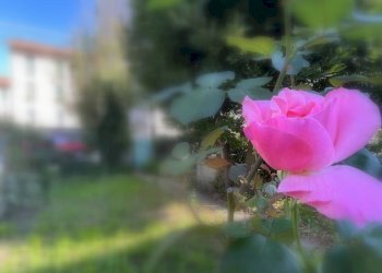 Foto 31 - Appartamento Cairo Montenotte - foto 31