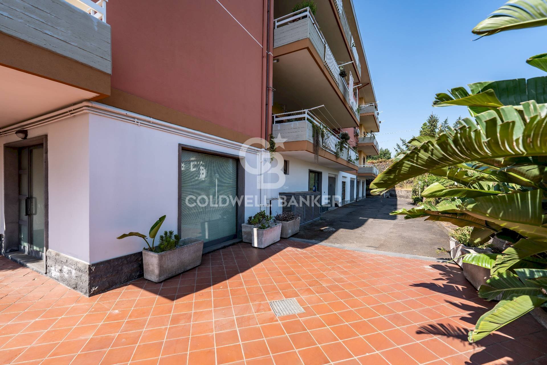 Foto 2 - Locale Commerciale Via Sutera
 
2, Acireale - foto 2