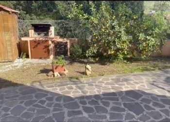 Trilocale San Teodoro - foto 16