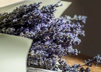 Two-room apartment Dante Alighieri, Cento - photo 7