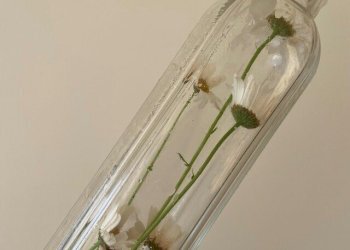 Two-room apartment Dante Alighieri, Cento - photo 8