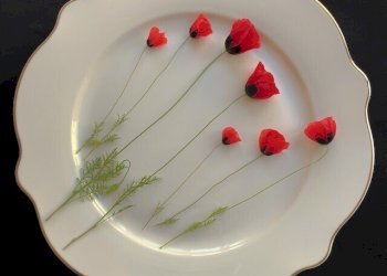 Two-room apartment Dante Alighieri, Cento - photo 19