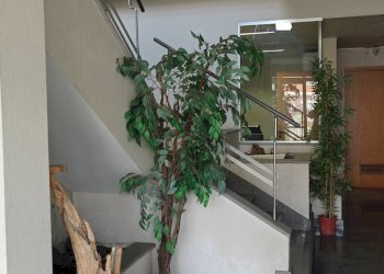 Ingresso - Capannone via Lombardore, 256, Leini - foto 8