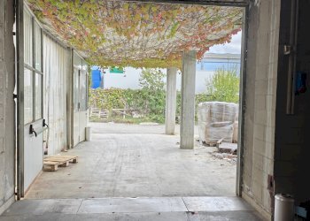 Ingresso - Capannone via Lombardore, 256, Leini - foto 30