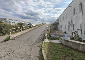 Esterno - Capannone via Lombardore, 256, Leini - foto 3