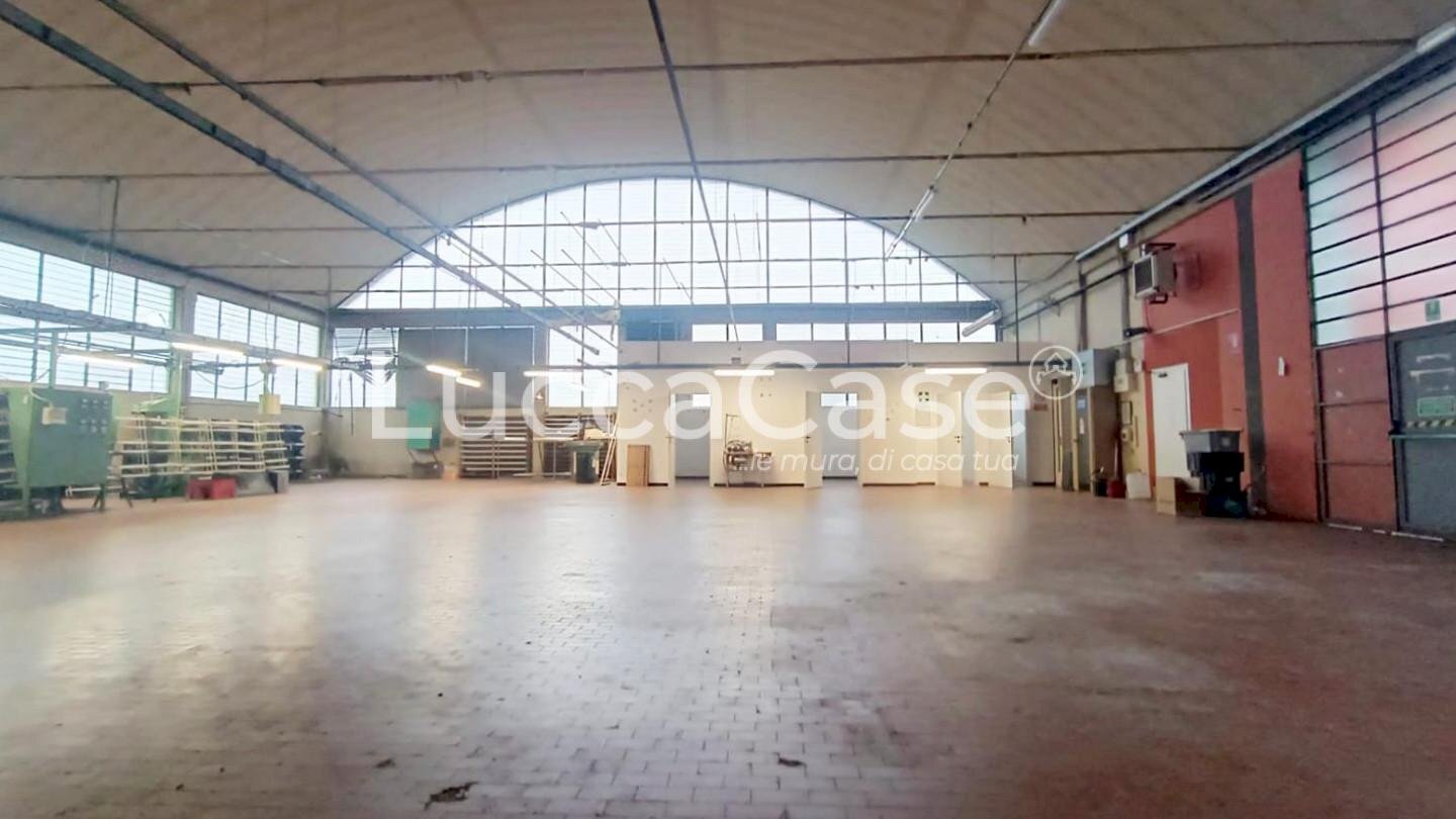 Capannone Capannori - foto 3