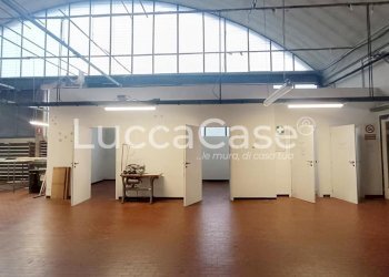 Capannone Capannori - foto 4