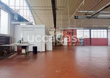 Capannone Capannori - foto 5