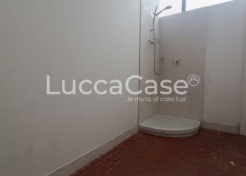 Capannone Capannori - foto 16