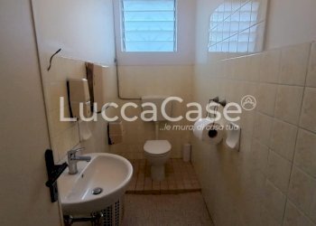 Capannone Capannori - foto 18