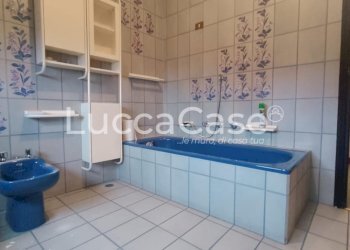 Capannone Capannori - foto 29