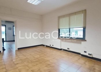 Capannone Capannori - foto 30