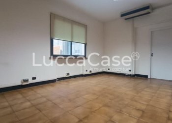 Capannone Capannori - foto 31