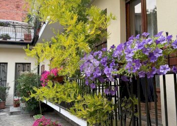 Casa semi indipendente Via corio, Ciriè - foto 28