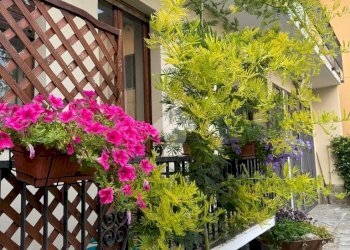 Casa semi indipendente Via corio, Ciriè - foto 29