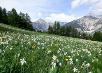 Casa indipendente Torino (zona Lingotto) - foto 2