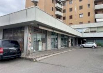 Negozio Carpi - foto 3