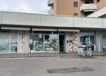 Negozio Carpi - foto 4