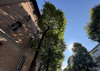 Appartamento Bologna (zona Murri) - foto 35