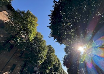 Appartamento Bologna (zona Murri) - foto 36