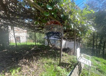 Giardino - Baita via provinciale, Gurro - foto 15