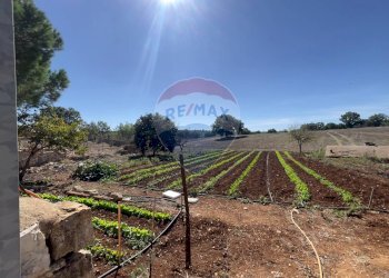 Vista delle montagne - Rustico Santeramo in Colle - foto 7