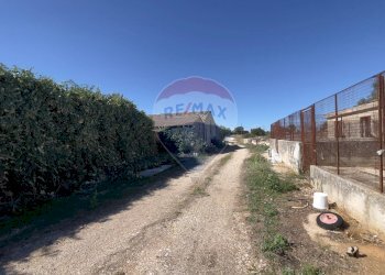 Giardino - Rustico Santeramo in Colle - foto 8