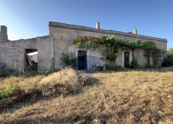 Casa all\'aperto - Terreno agricolo Santeramo in Colle - foto 1