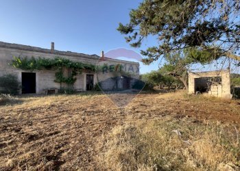 Casa all\'aperto - Terreno agricolo Santeramo in Colle - foto 2