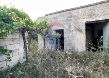 Casa all\'aperto - Terreno agricolo Santeramo in Colle - foto 5