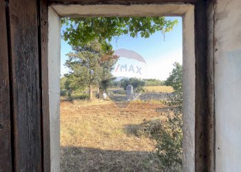 Non correlato - Terreno agricolo Santeramo in Colle - foto 12