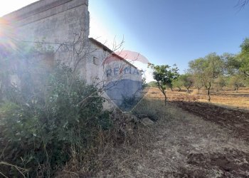 Vista delle montagne - Terreno agricolo Santeramo in Colle - foto 15