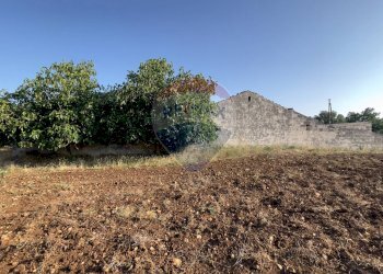 Vista delle montagne - Terreno agricolo Santeramo in Colle - foto 16