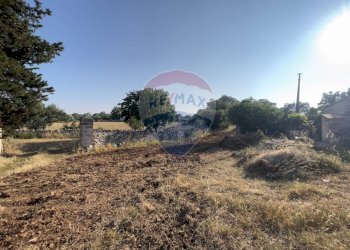 Giardino - Terreno agricolo Santeramo in Colle - foto 18