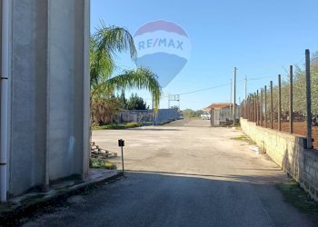 Non correlato - Laboratorio C.da valle miglio
 
Snc, Niscemi - foto 13