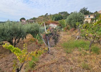 Giardino - Villa Via Minicuccazzo
 
7, Mascali - foto 60